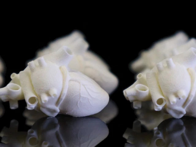 Mehrere 3D-gedruckte Miniaturherzen für die Medizintechnik, welche mit dem Resin 3D-Druck und der VCJ-Technologie (Vision Controlled Jetting) hergestellt wurden.